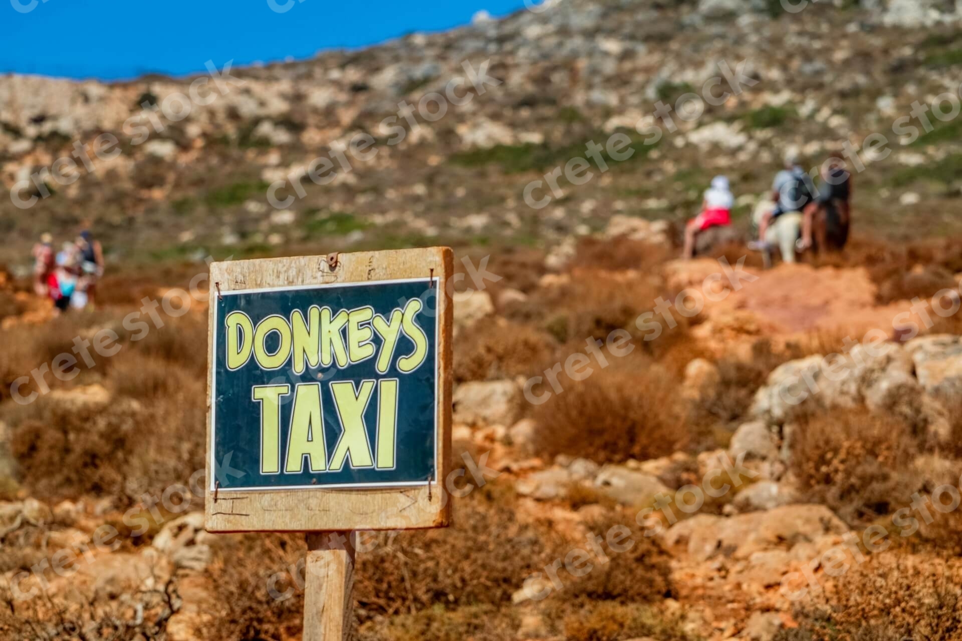 donkey-taxi-in-chania-crete