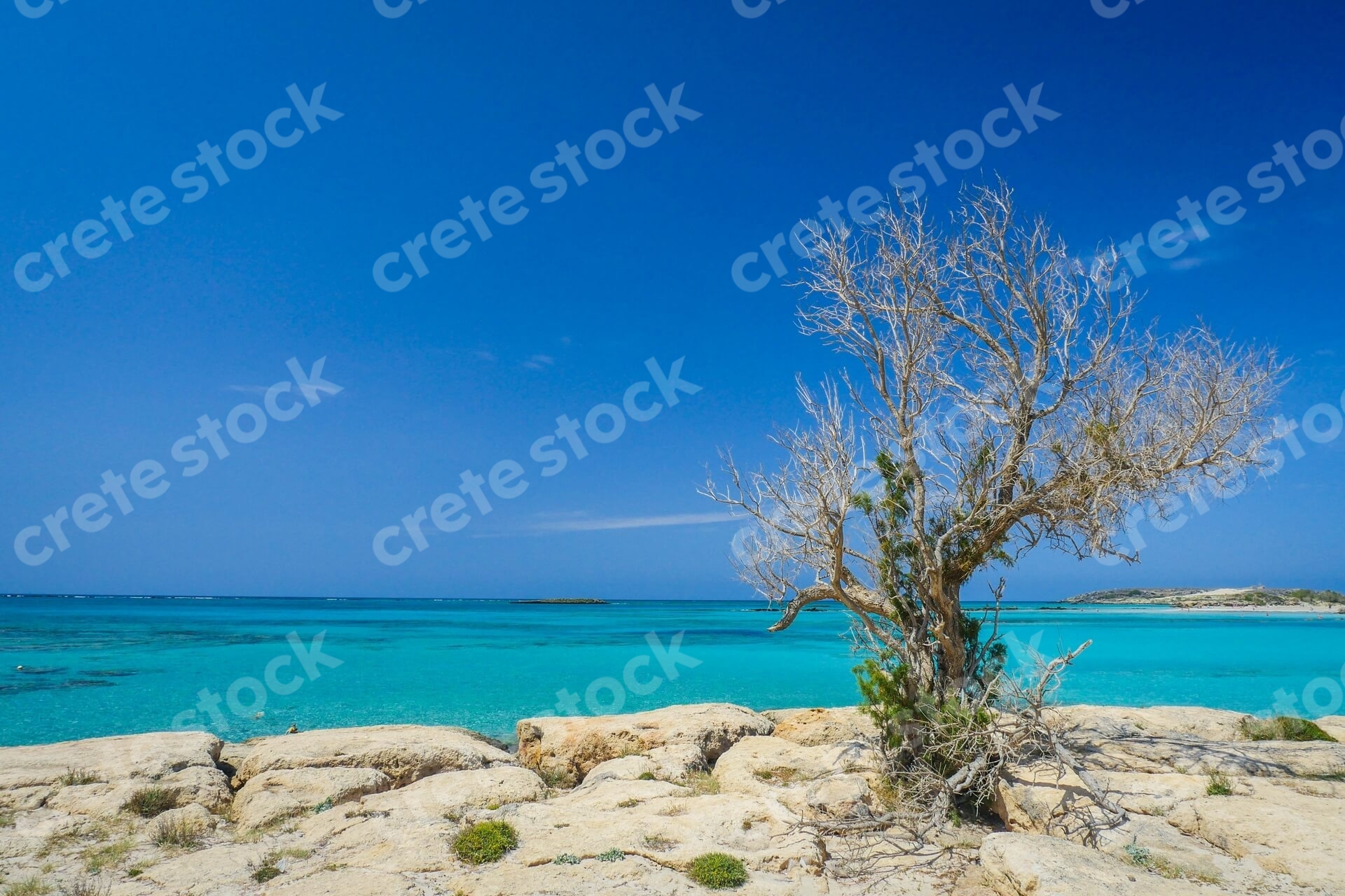 elafonisi-beach-in-chania