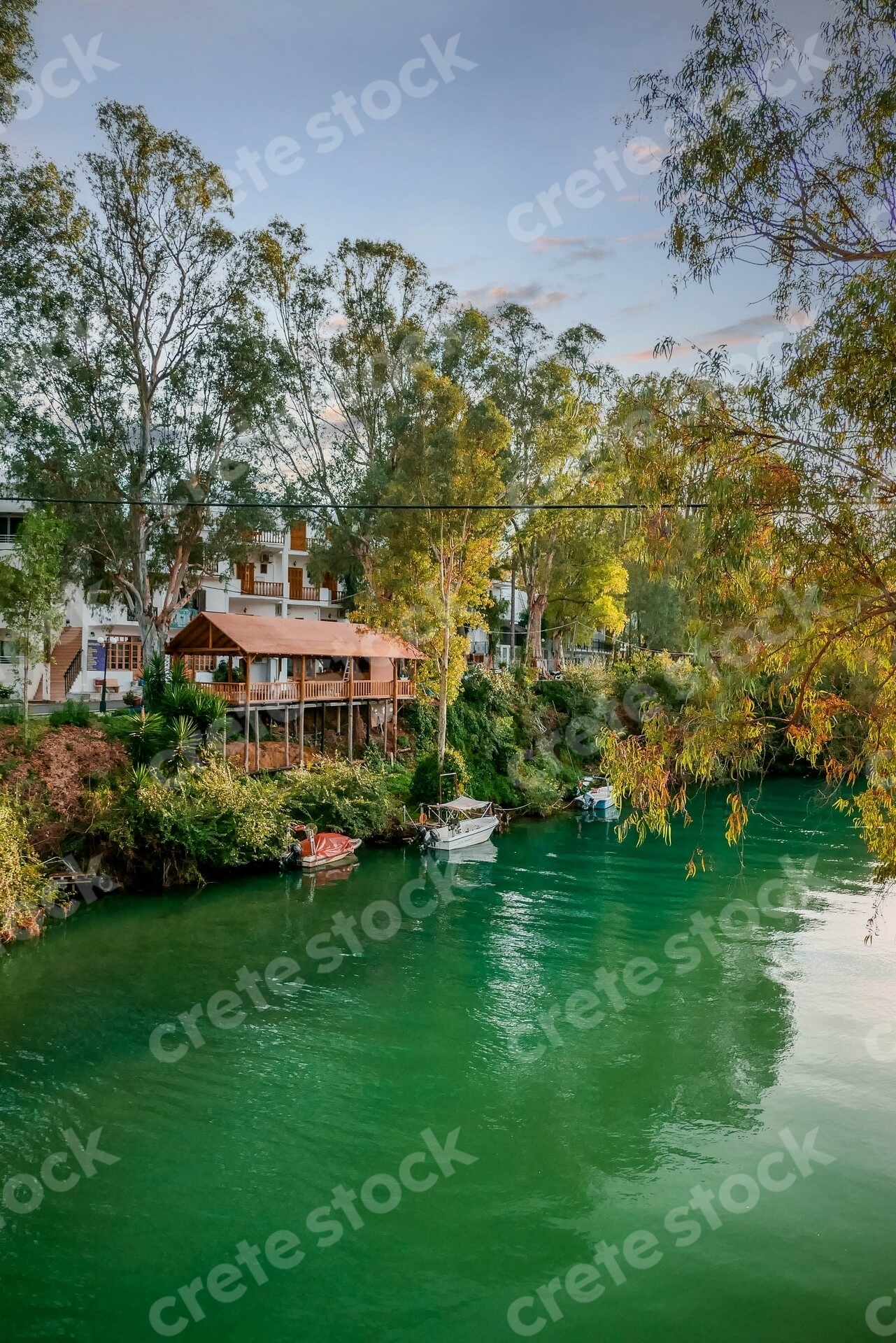 turtle-river-in-georgioupoli-chania