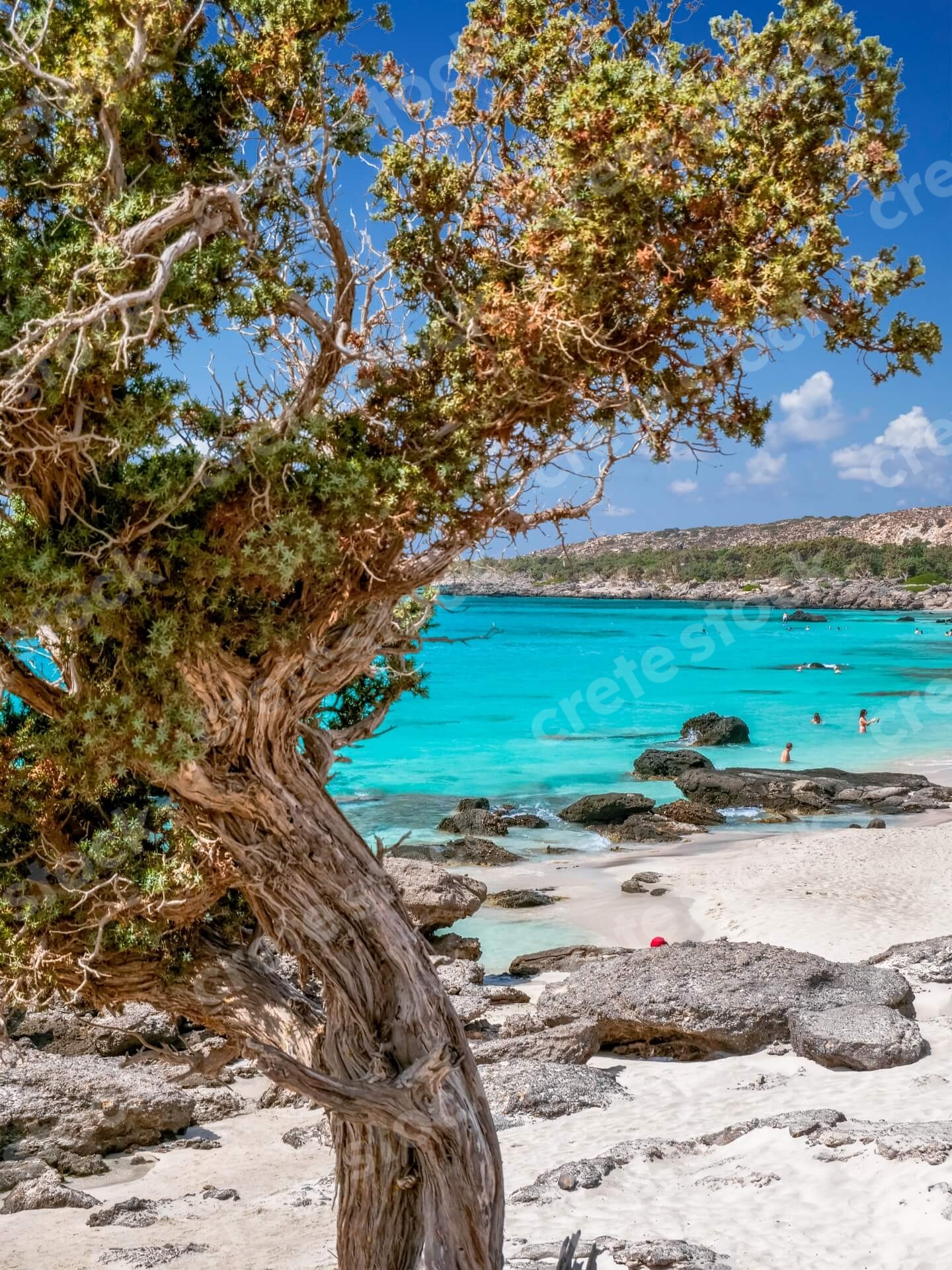 kedrodasos-beach-in-chania