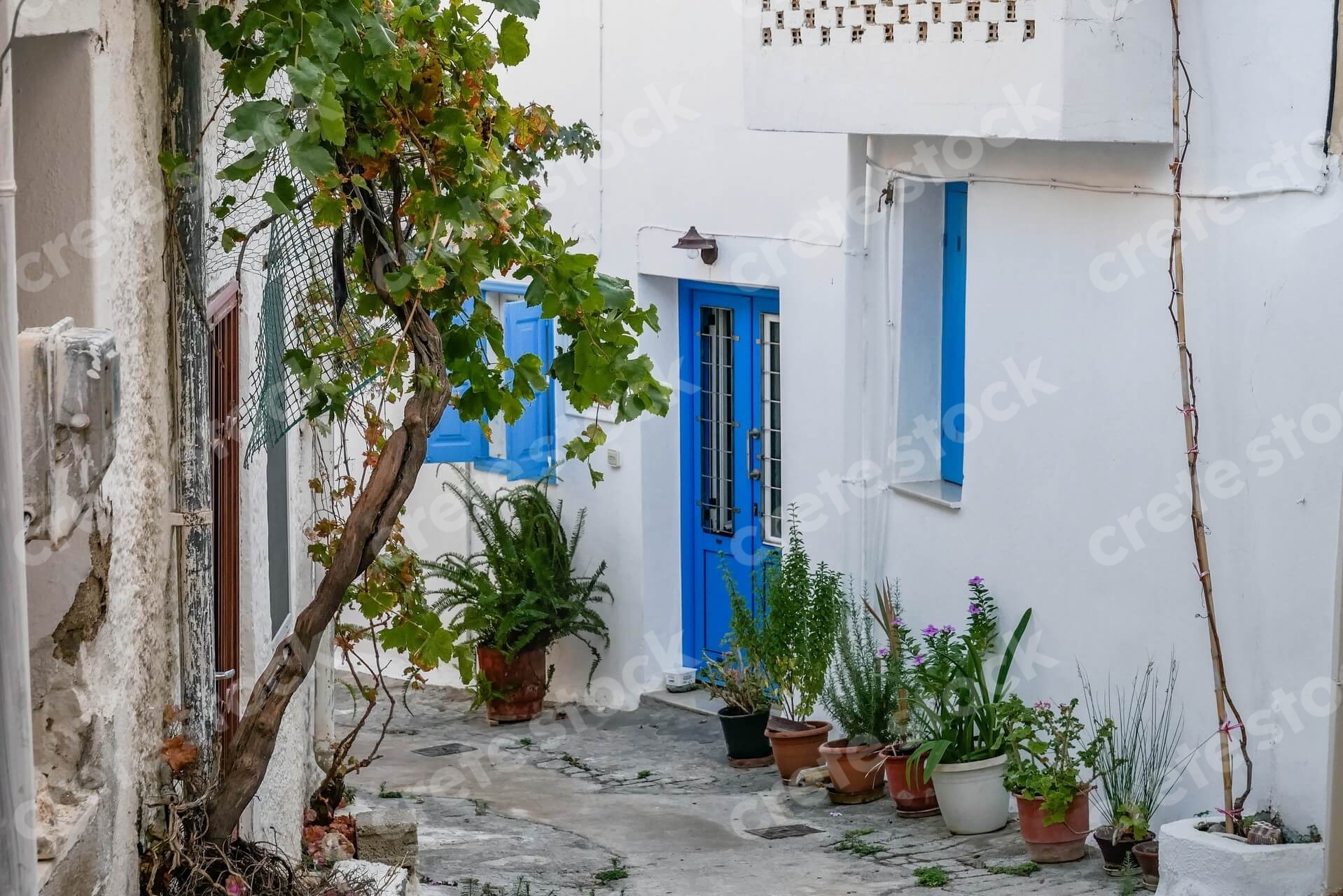 traditional-house-in-kritsa-village-in-agios-nikolaos-lasithi