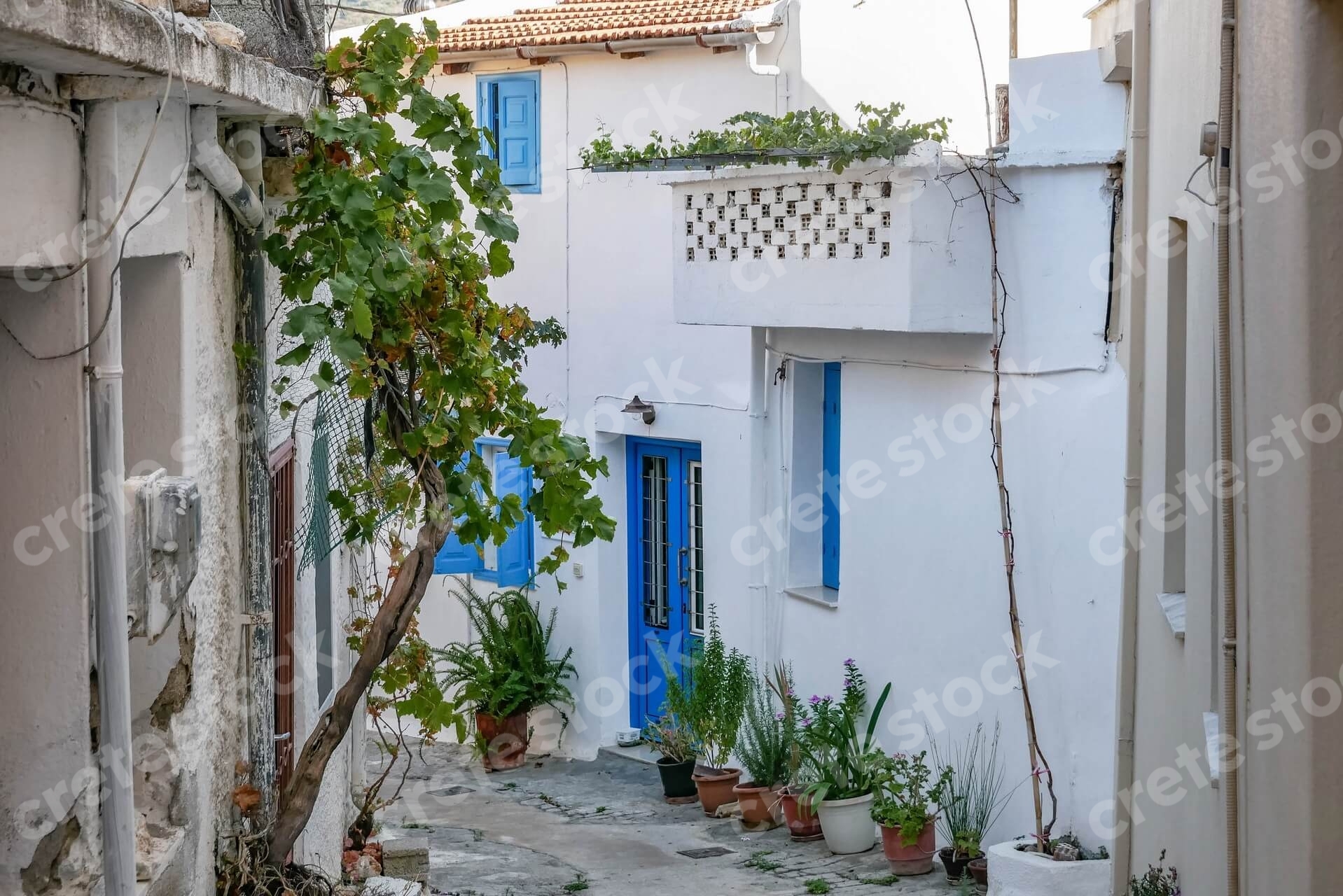 traditional-house-in-kritsa-village-in-agios-nikolaos-lasithi