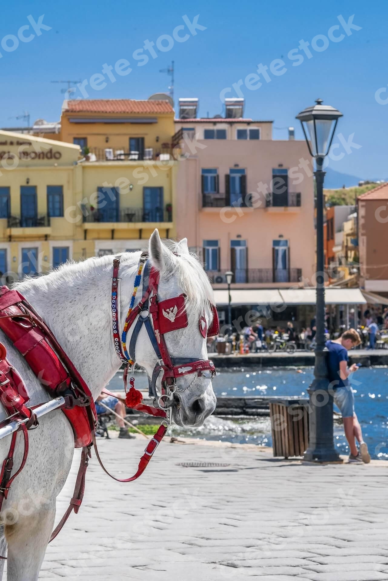 horse-and-carriage-in-old-port-chania