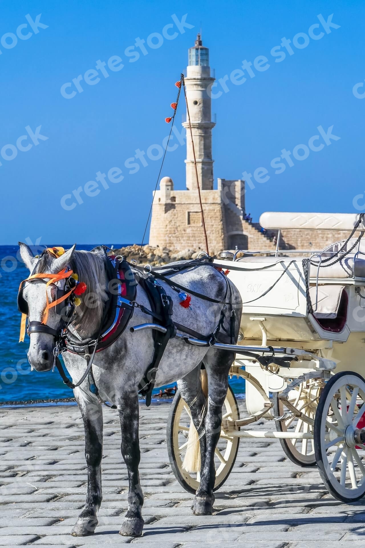 horse-and-carriage-in-old-port-chania