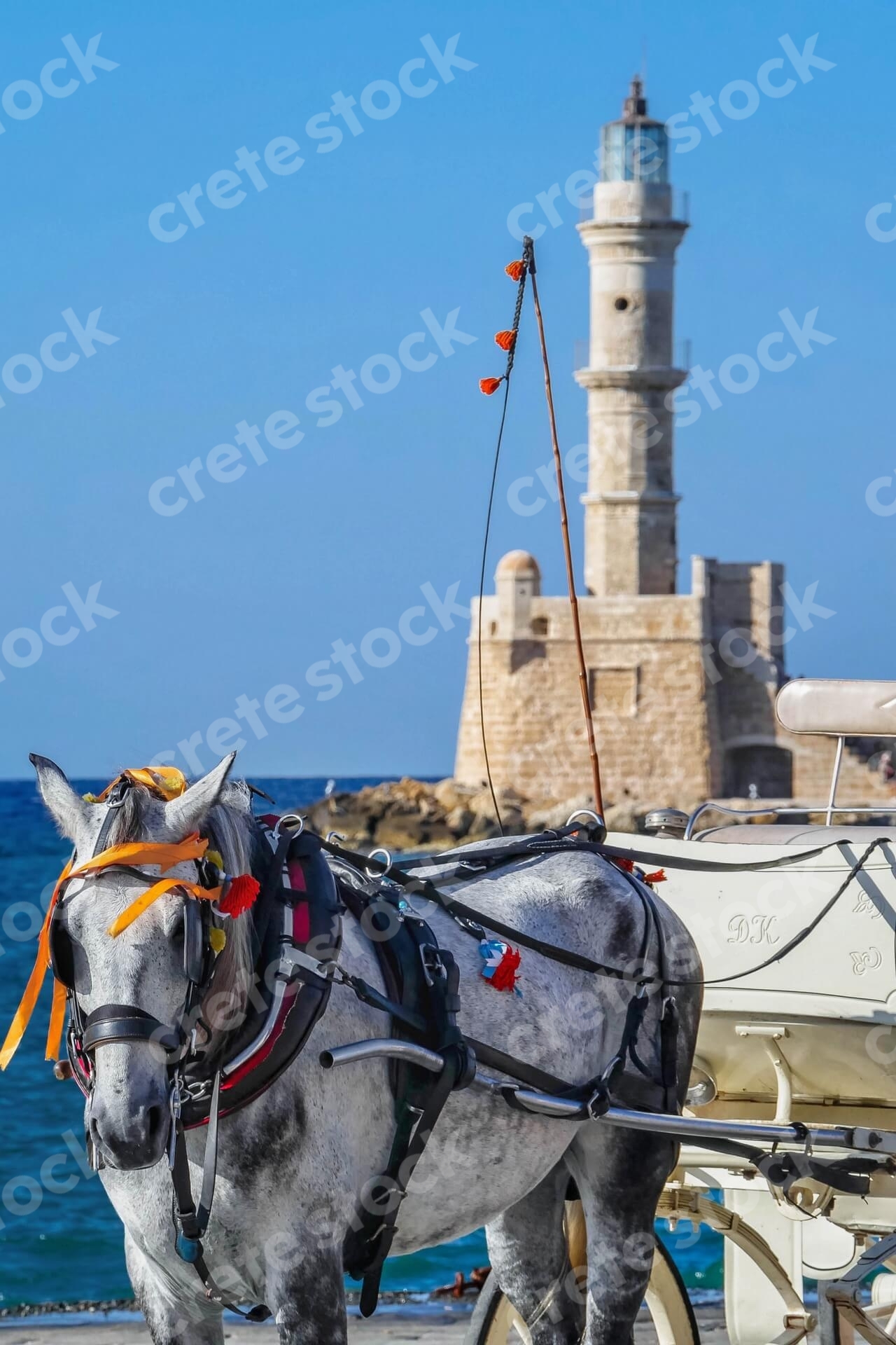 horse-and-carriage-in-old-port-chania