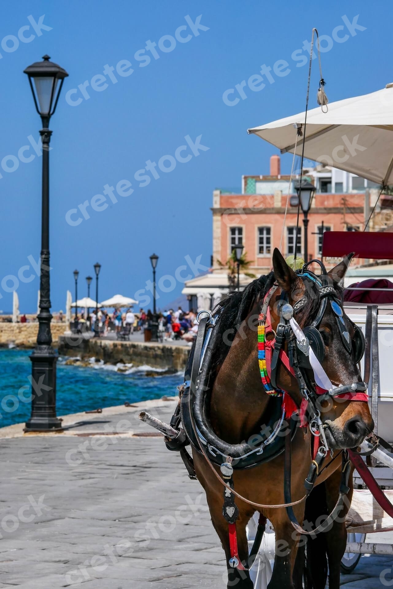 horse-and-carriage-in-old-port-chania