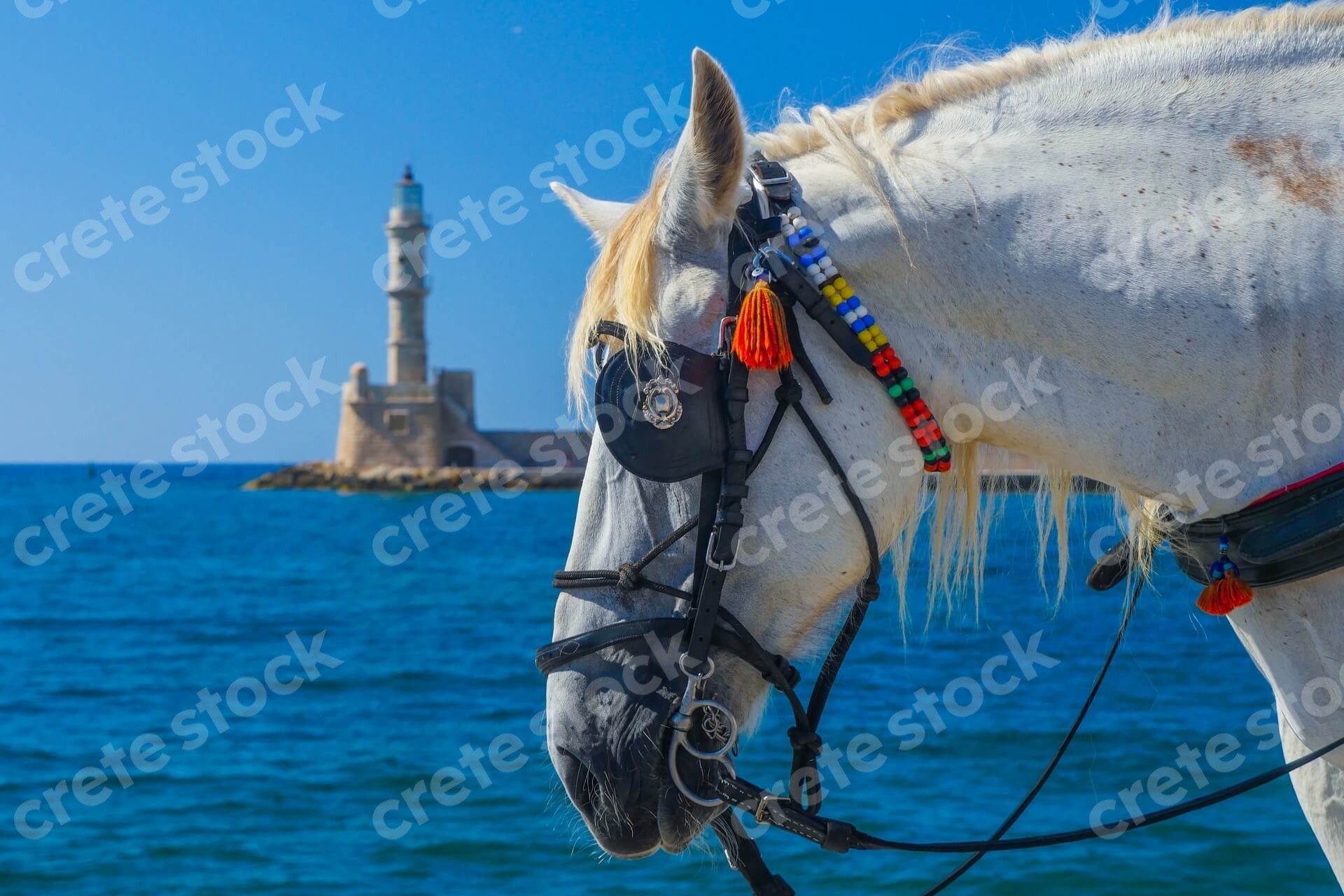 horse-and-carriage-in-old-port-chania